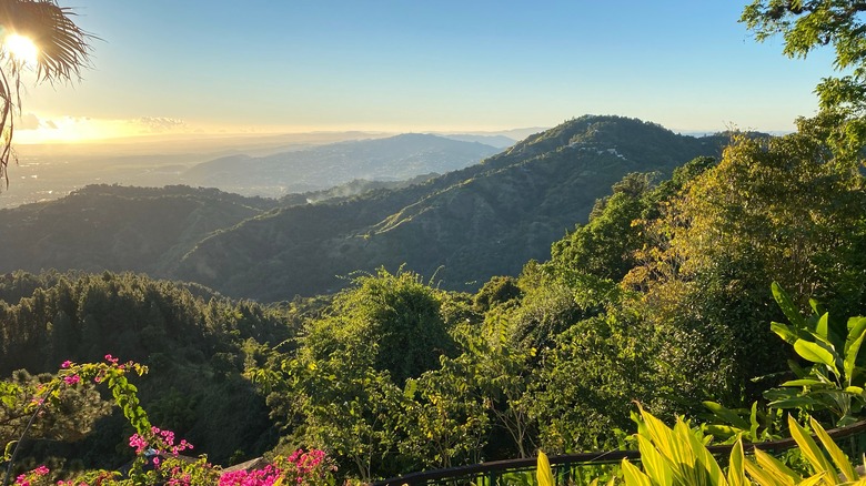 The mountains of Puerto Rico