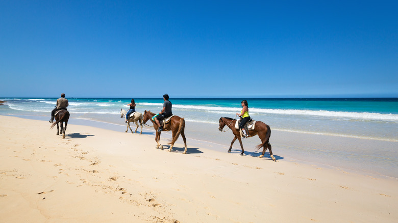 Horseback riding on Macao Beach