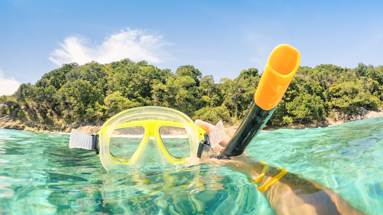 Snorkeling mask ocean and jungle