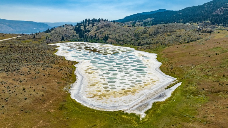 Canada's Spotted Lake