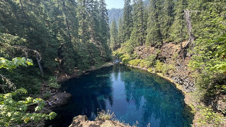 Tamolitch Pool on the McKenzie River