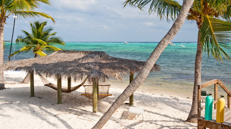 beach on Little Cayman Island