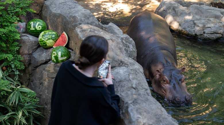 Rose Lavelle at Cincinnati Zoo