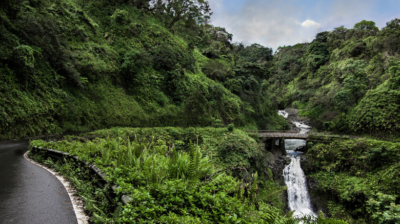 Hana Highway bridge and road