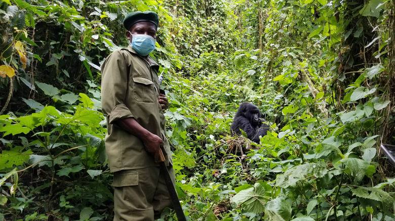 Park ranger in Virunga 