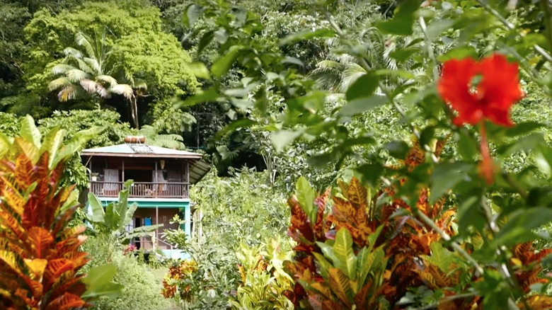 Three Rivers Eco Lodge cabin