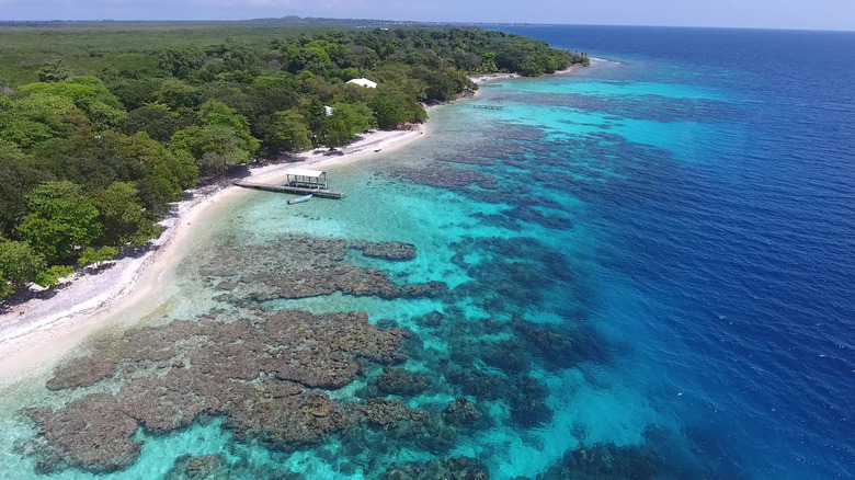 Beautiful coral reefs in Utila