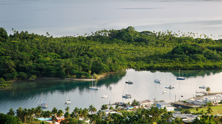 Yacthts at Savusavu, Fiji