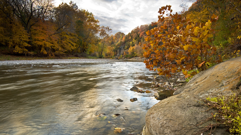 Vermilion River, Illinois