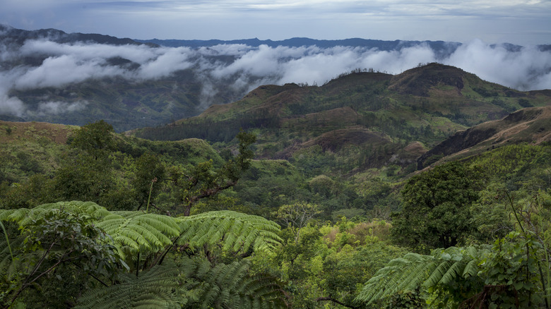 Interior of Viti Levu, Fiji