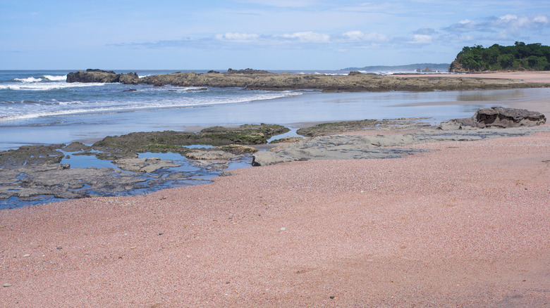 pink sand beach in Costa Rica