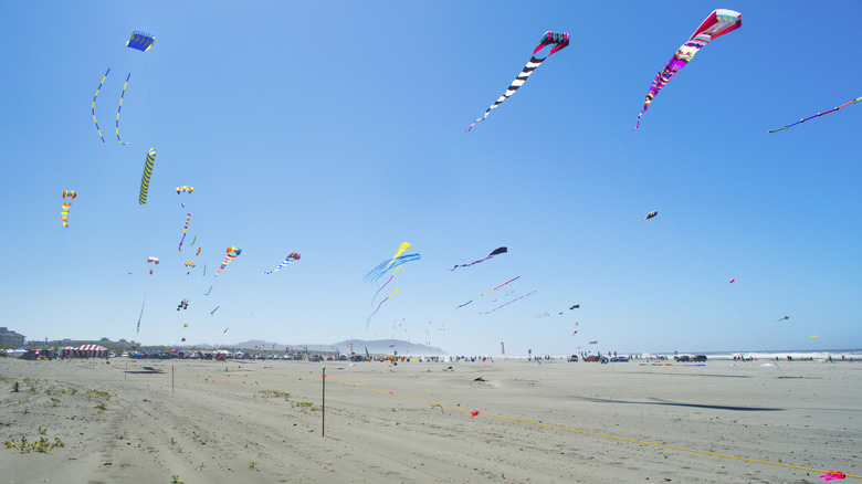 Long Beach Kites Festival in Washington