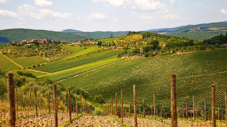 hilltop towns surrounded by vineyards