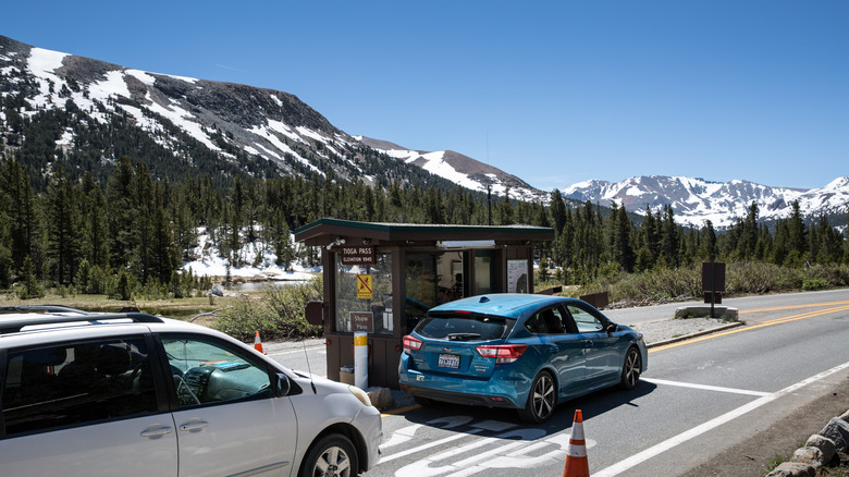 tioga pass yosemite