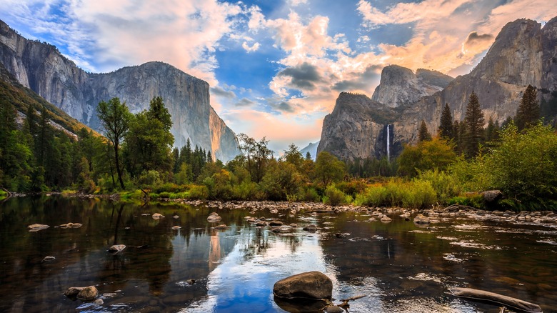 Reflective water in Yosemite Valley