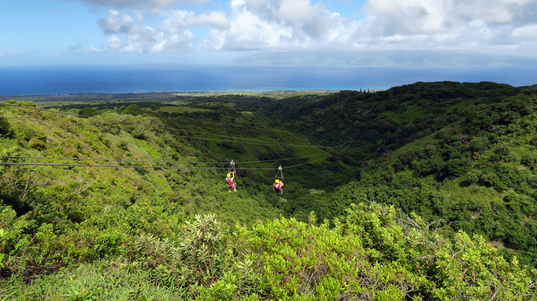 two people zip-lining over trees